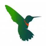social buzz lab hummingbird