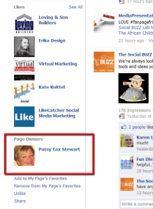 Facebook Page Owners